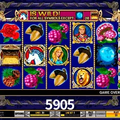 5905 São Paulo - Live Tables